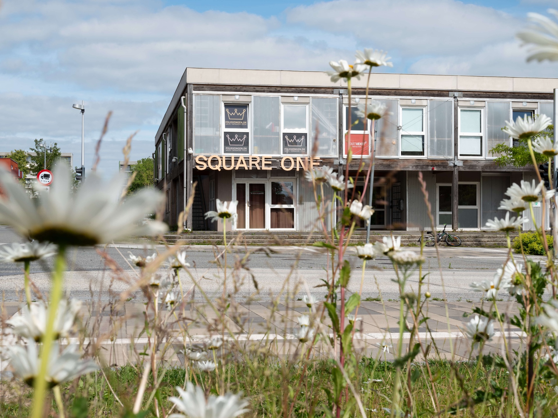 Square One bygningen udefra i Brabrand med markblomster i forgrunden